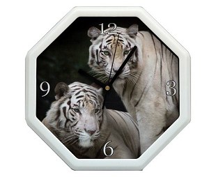16D  tiger